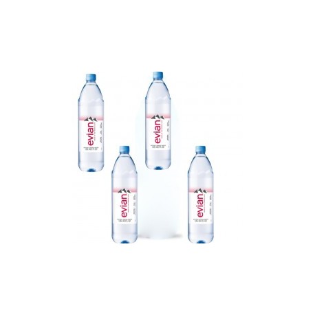 AGUA NATURAL EVIAN 12/1 LT...