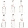 AGUA NATURAL EVIAN VIDRIO...
