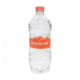 AGUA EMBOTELLADA 12 PZAS DE...