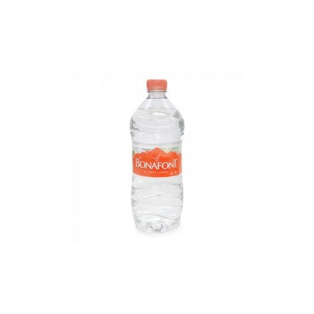 AGUA EMBOTELLADA 12 PZAS DE...