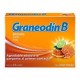 Graneodin B 10 Mg Sabor...